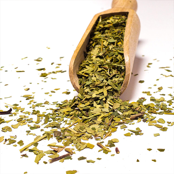 Hvad er yerba mate green, og hvad er forskellen på den traditionelle variant?