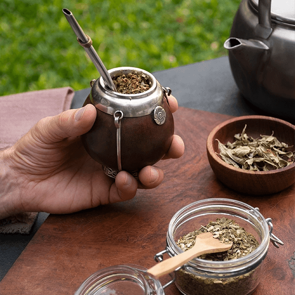 Yerba mate - hvor ofte kan vi drikke det? Er der nogen kontraindikationer?