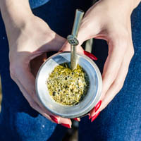 Hvad er yerba mate?