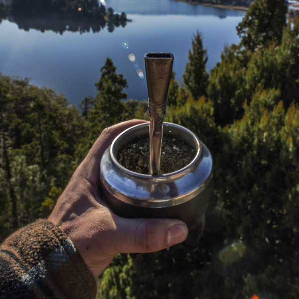 Yerba mate - en skattekiste af vitaminer og mineraler i din mate-kalebas!