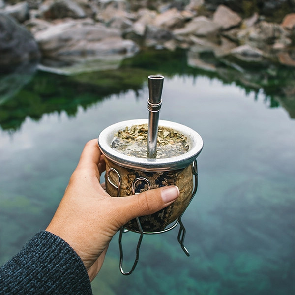 At drikke yerba mate: 7 nyttige tips