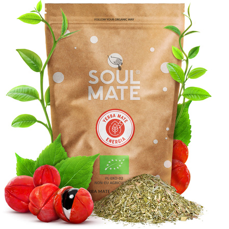 STARTER KIT TIL YERBA MATE BOMBILLA KALABAS 500g