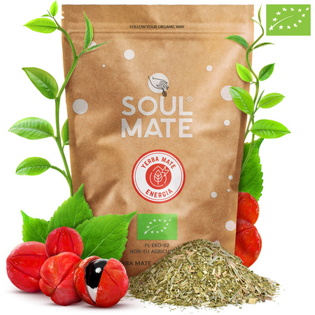 STARTER KIT TIL YERBA MATE BOMBILLA KALABAS 500g